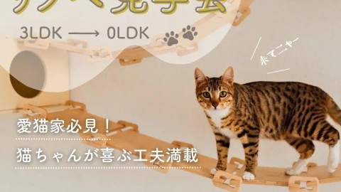 【リノベ完成見学会】人も猫ものびのび暮らせる「0LDK」マンションリノベ