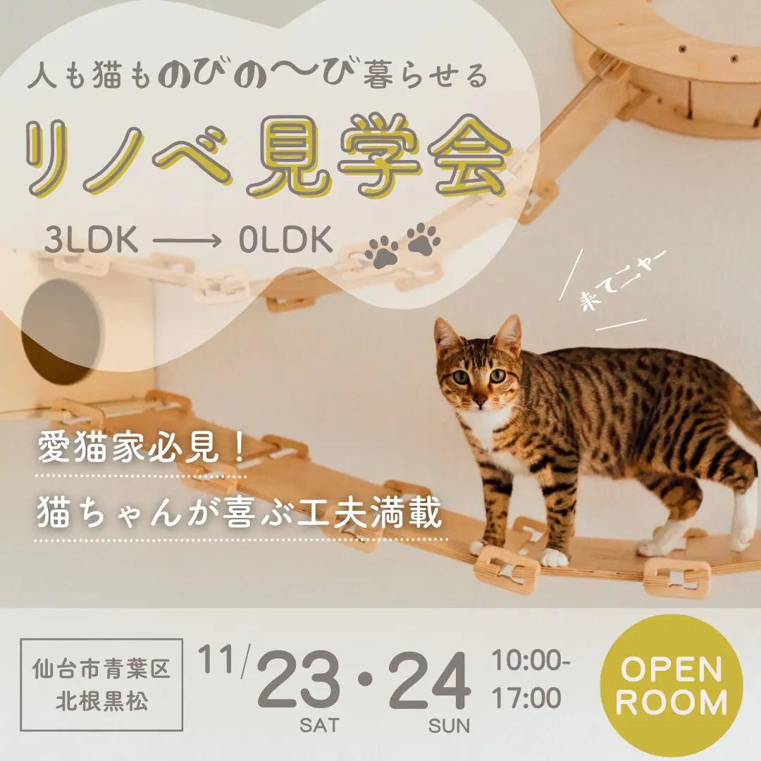 【リノベ完成見学会】人も猫ものびのび暮らせる「0LDK」マンションリノベ