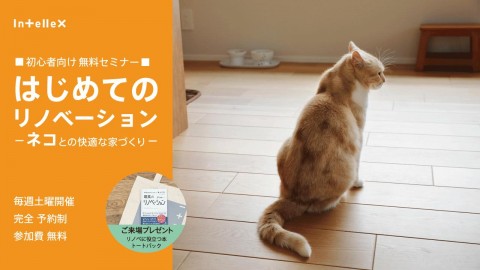 【2/28(土)開催】初心者向け「はじめてのリノベーション」ネコとの快適な家づくりセミナー