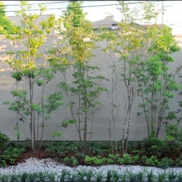 ソリッドハウス-植栽のある中庭