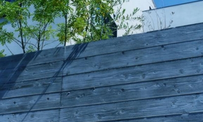 杉板型枠のコンクリート壁｜鵠沼の家