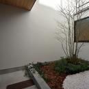 桃井Ｍ邸－中庭を中心としたコの字配置の立体コートハウス－の写真 中庭