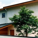 世田谷の事務所併用住宅 ー伽留羅(カルラ)ーの写真 東側外観
