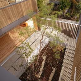 杉格子で囲われた中庭｜杉の家 (杉格子の中庭　緩やかなアプローチ階段　1)