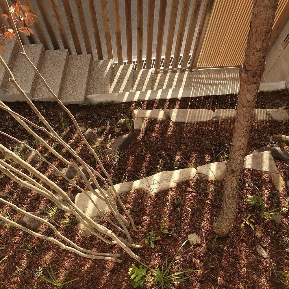 アウトドア事例：中庭から見る　杉格子と引戸の入口　その影（杉格子で囲われた中庭｜杉の家）
