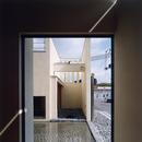 中庭と水盤のある家｜上新田の家の写真 中庭と水盤04　離れ和室側　屋上テラスからの雨水が水盤へ注ぐ