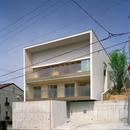 三つの中庭のある家・二世帯住宅｜藤沢台の家の写真 白いシンプルな木造とコンクリート打ち放し