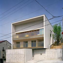 三つの中庭のある家・二世帯住宅｜藤沢台の家 (白いシンプルな木造とコンクリート打ち放し)