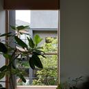 函南町の家の写真 居間から中庭をみる