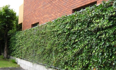 Green Wall｜「潤い感のある緑」の成功例