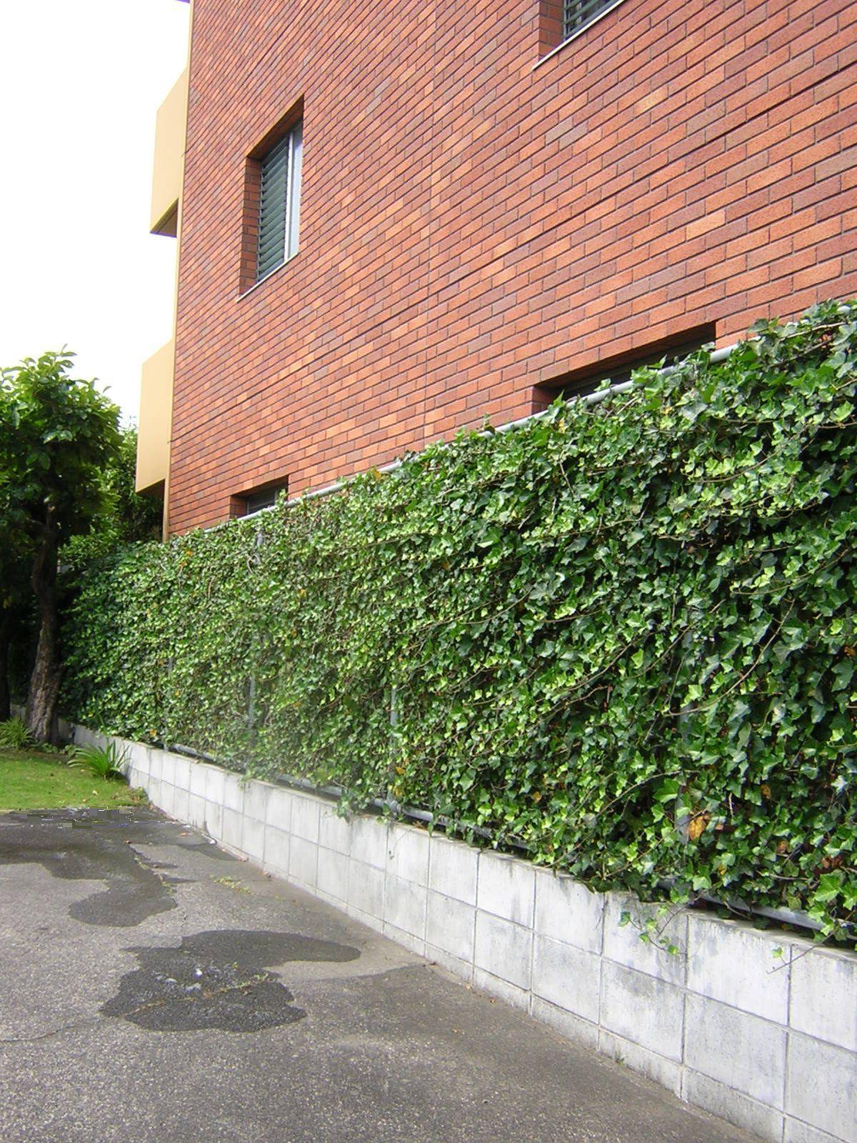 アウトドア事例：Green Wall（「潤い感のある緑」の成功例）