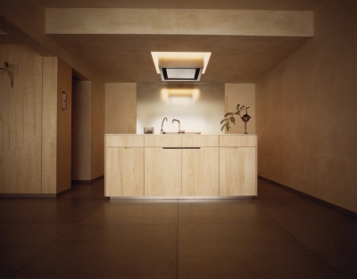 キッチン (東中野・seki house 〜僕たち家族の価値観を表したマンション全面リノベーション〜)