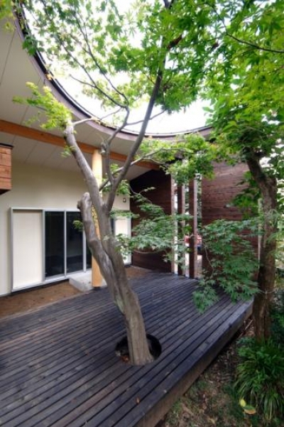ウッドデッキテラスにあるシンボルツリー (木漏れ日屋根の家)