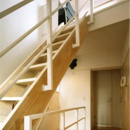 共同住宅形式とした２世帯住宅 (階段は建て主の希望で木製にしています。)