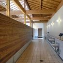 マザー牧場・まきばトイレの写真 内部にはアクセントと木の壁も使用しています。