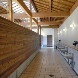マザー牧場・まきばトイレ (内部にはアクセントと木の壁も使用しています。)