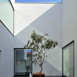 浜田山の家－ギャラリースタイルの家、ミニマリズムの調べ－ (ストイックな中庭)