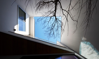 保谷Ｏ邸－「鳥かご」のあるシンプルモダンなコートハウス－ (中庭を下から見上げる)