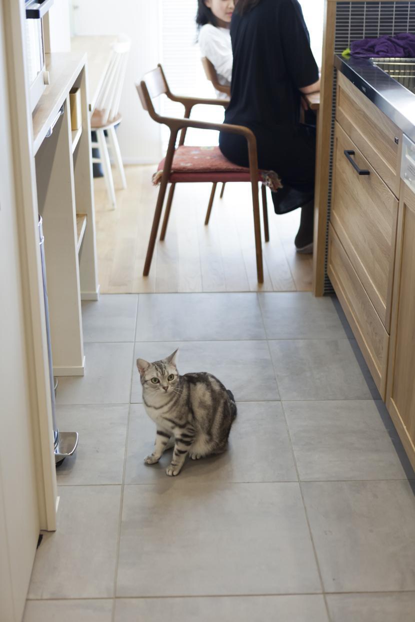 キッチン事例：キッチン（くつろぎのスペースを大きく確保。子供も猫ものびのび過ごせる温もりの家。）