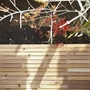 四つ葉　〜光溢れる木の家〜の写真 ウッドデッキ
