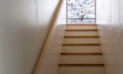 桜が見える階段｜隅切りの家 [2013]