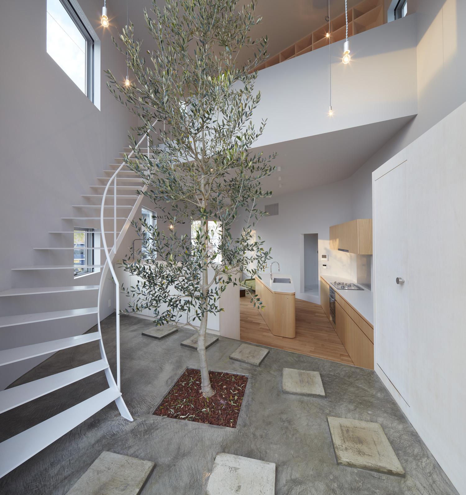 玄関にあるシンボルツリー 大口の家 五角形の曲線を持つデザイナーのアトリエハウス 玄関事例 Suvaco スバコ