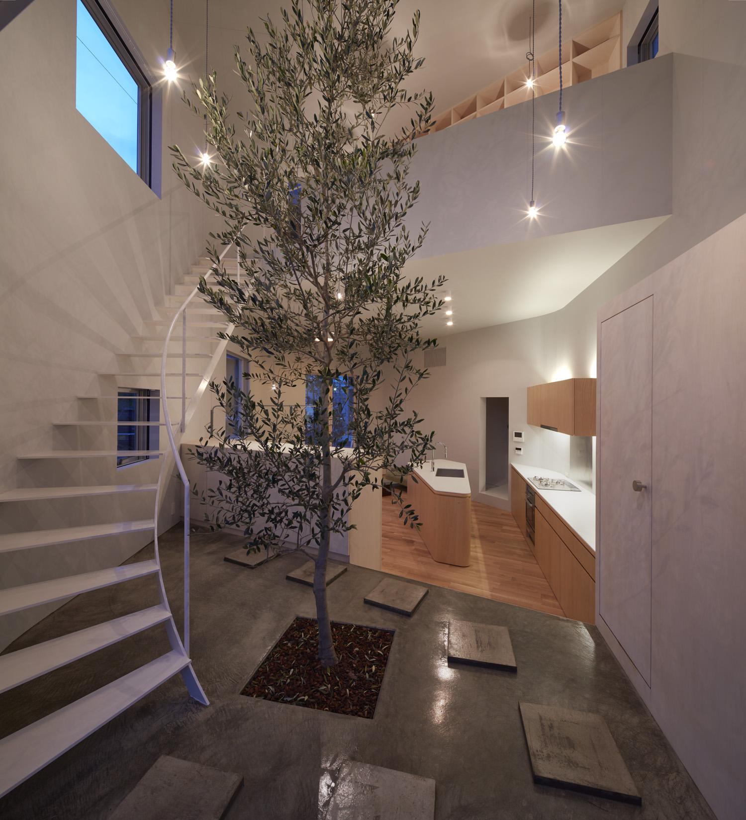 玄関にあるシンボルツリー ライトアップ 大口の家 五角形の曲線を持つデザイナーのアトリエハウス 玄関事例 Suvaco スバコ