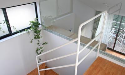 緑あふれるアトリエのある家 (階段)