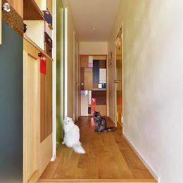 2匹の猫が元気にのびのび遊べる家 (玄関　廊下　造作建具)