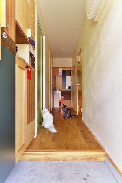 玄関事例：玄関　廊下　造作建具（2匹の猫が元気にのびのび遊べる家）