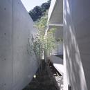 長田町の住宅の写真 玄関ホールよりアプローチ脇の坪庭を見る