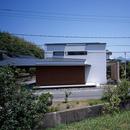 大崎の家の写真 植栽がないのに緑豊かな借景の家