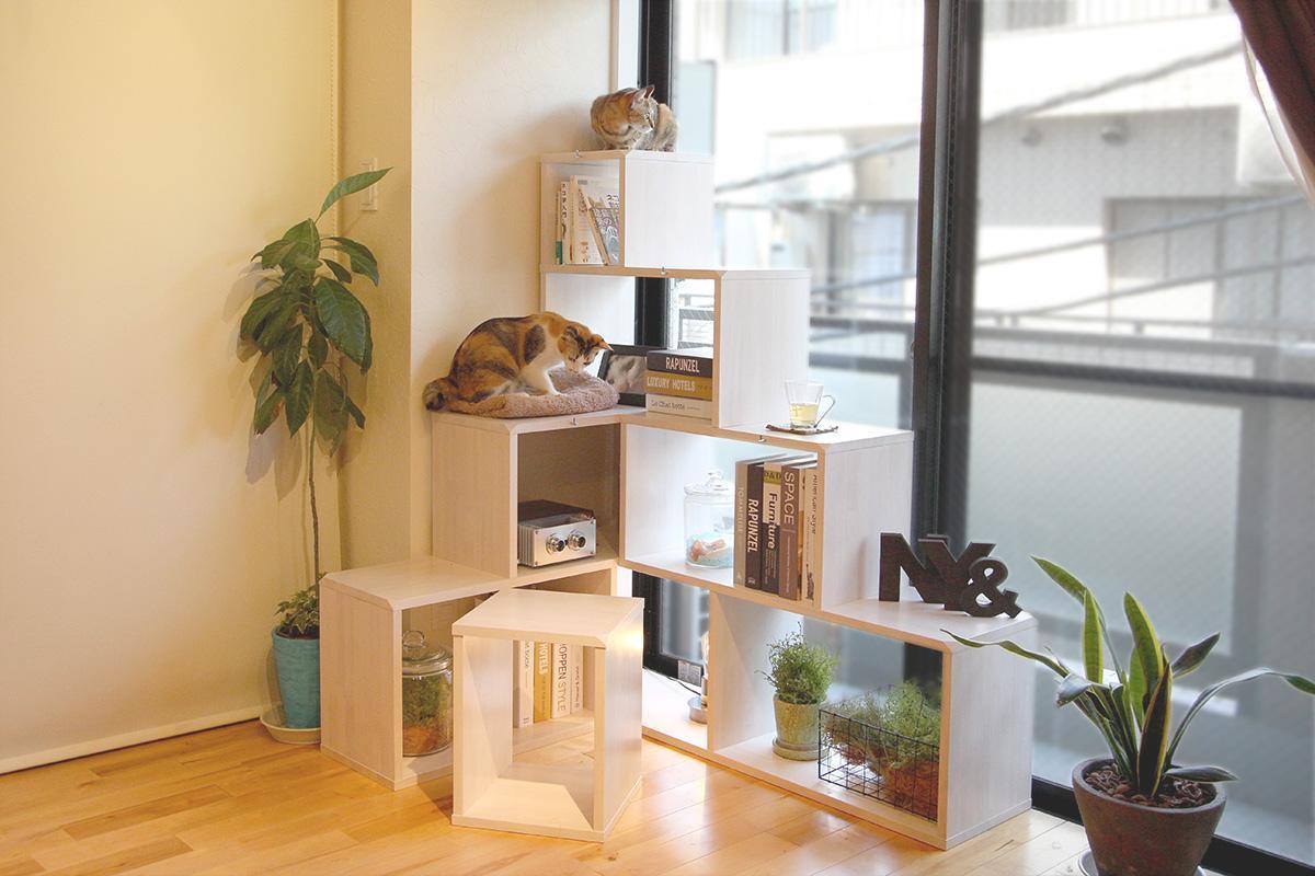 リビングダイニング事例：猫家具NY&を窓辺に（ＮＹ＆）