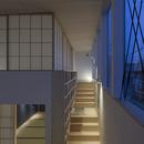 ”のれん”と立体図書館のある、東京の狭小、二世帯住宅の写真 住居の中の立体図書館