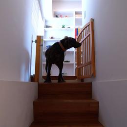 FEMTE-愛犬と暮らしやすい「戸建て風」リノベ (階段)