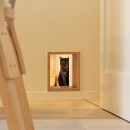 猫と暮らす、二世帯住宅（成城学園前 戸建てリノベーション）の写真 ペット用通路（1階）