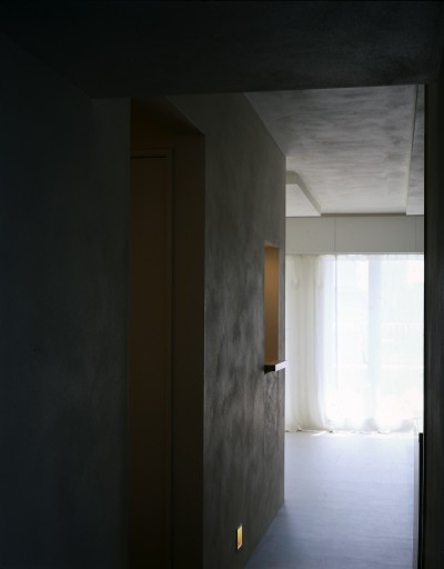 廊下 (埼玉・T house 〜回遊動線と床材の色を切り替えと天井の凹凸が特徴的なマンション全面リノベーション〜)