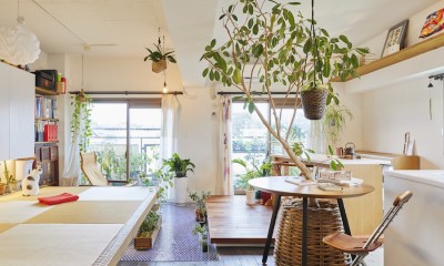 Shan shui house-猫と植物と山水画のような空間に暮らす (リビング)