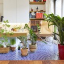Shan shui house-猫と植物と山水画のような空間に暮らすの写真 リビング