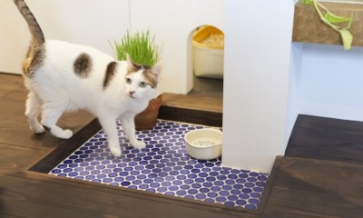 Shan shui house-猫と植物と山水画のような空間に暮らす (猫のトイレ)