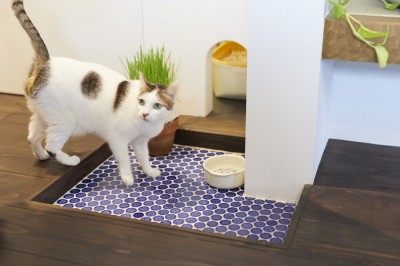 猫のトイレ (Shan shui house-猫と植物と山水画のような空間に暮らす)