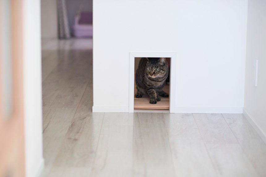 インテリックス空間設計「愛猫もうれしい、住み替えなしのリノベーション。20年来の我が家をグッと快適に。」