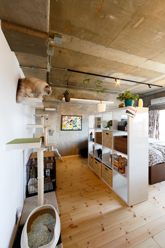 アートリフォーム「猫と暮らす無垢フローリングの家」