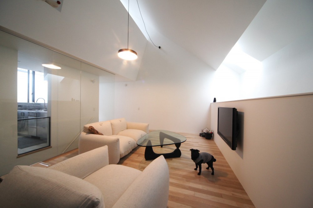 さいたまの旗竿敷地の家 OUCHI-21 (犬と暮らすリビングの様子)