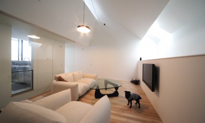 さいたまの旗竿敷地の家 OUCHI-21 (犬と暮らすリビングの様子)