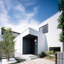 茅ヶ崎の家〜旗竿敷地に建つ三つの庭を持つ家の写真 坪庭とシンボルツリーのあるエントランス