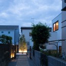 茅ヶ崎の家〜旗竿敷地に建つ三つの庭を持つ家の写真 メインツリーを正面に臨む旗竿通路夕景
