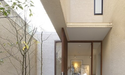 名古屋市Ｎ邸～高低差がある敷地のガレージハウス (エントランスアプローチ)