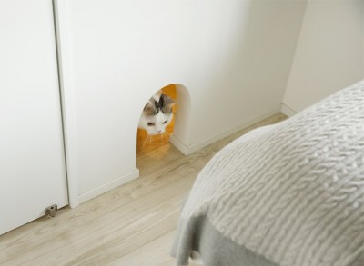 愛猫が寝室を行き来するネコトンネル (背伸びしない現実の暮らしに即しつつも、夢と遊び心はしっかりと取り入れて。)