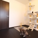 ネコと暮らす戸建リフォームの写真 洋室